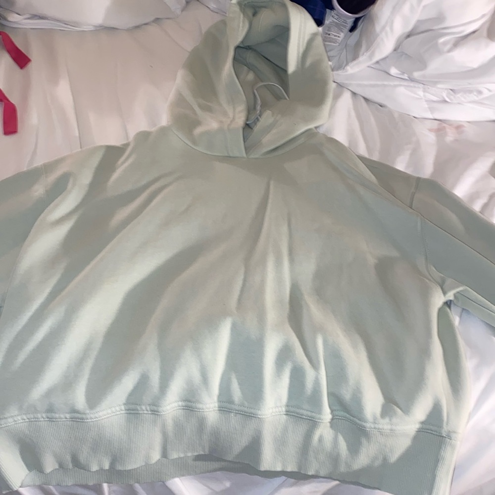 Pistachio/muted green crop hoodie